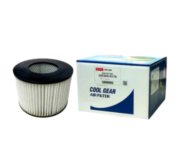 Denso-Cool-Gear-Air-Filter-260300-0170